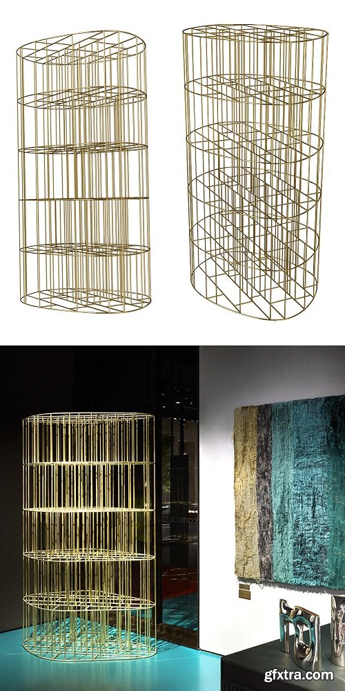 Bookcase Golden Cage