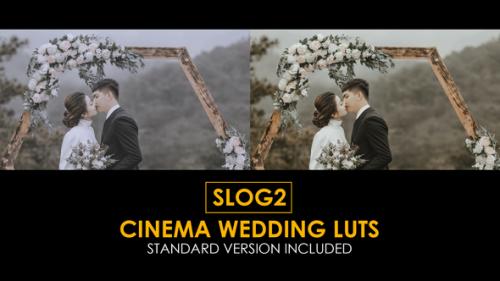 Videohive - Slog2 Cinema Wedding LUTs - 40270196