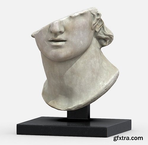 Head of a Youth Sculpture 3D model