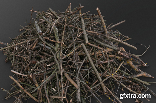 Tree branches pile