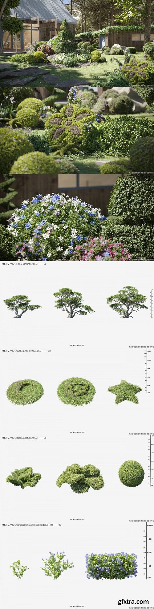 Maxtree - Plant Models Vol. 104