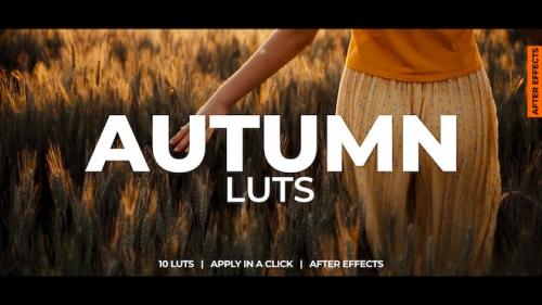 MotionArray - Autumn LUTs - 1061202