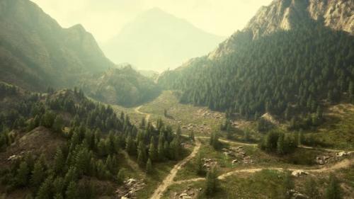 Videohive - Winding Road in the Mountains with Pine Forest - 40516679