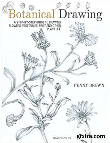 Botanical Drawing: A Step-By-Step Guide to Drawing Flowers, Vegetables, Fruit and Other Plant Life