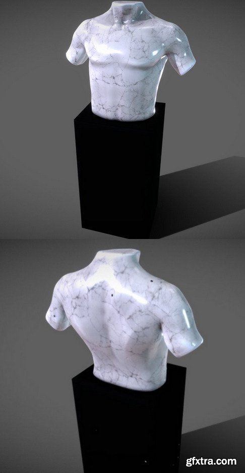 Marble Male Torso Statue 3D Model