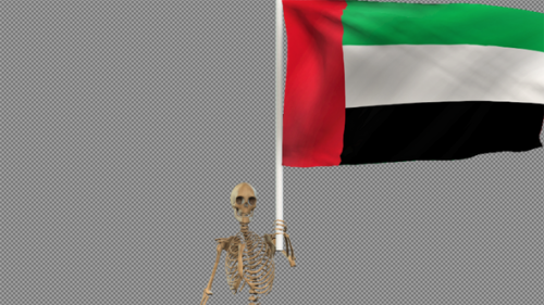 Videohive - Skeleton Carry UAE Flag - 40685786