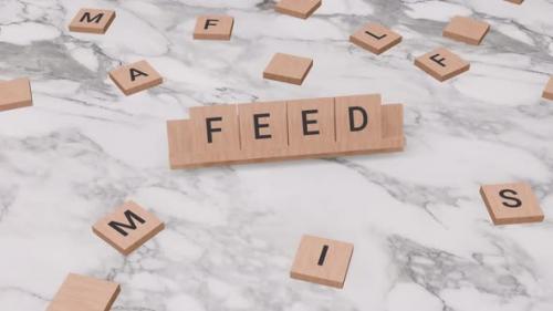 Videohive - Feed word on scrabble - 40709351