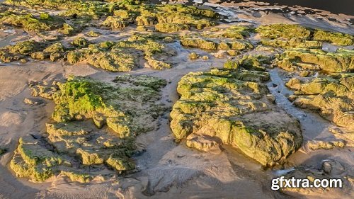 Mossy beach rocks at sunset