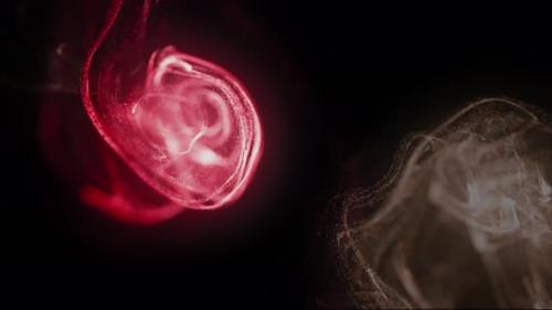 Videohive - Red Color Smoke Effect in black Background - 40399623