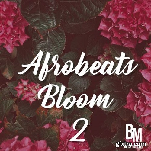 HOOKSHOW Afrobeats Bloom 2 WAV-FANTASTiC