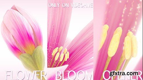 Videohive Blooming Logo 5909787