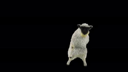 Videohive - 69 Sheep Dancing 4K - 41641395
