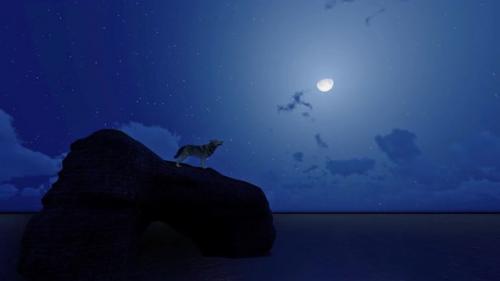 Videohive - Wolf Howl in Moonlight Night - 41665784