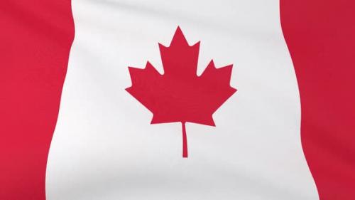 Videohive - Canada Flag - 41671952
