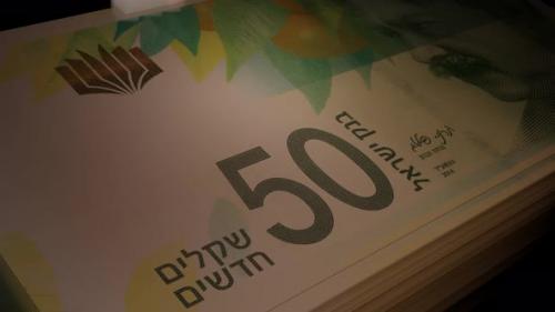 Videohive - 50 Israeli Shekels banknotes. Paper money. - 41689834