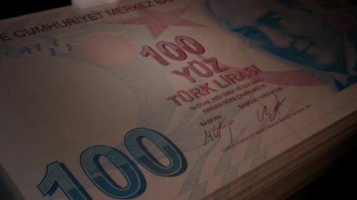 Videohive - 100 Turkish Lira banknotes. Paper money. Cash. TRY. - 41748147