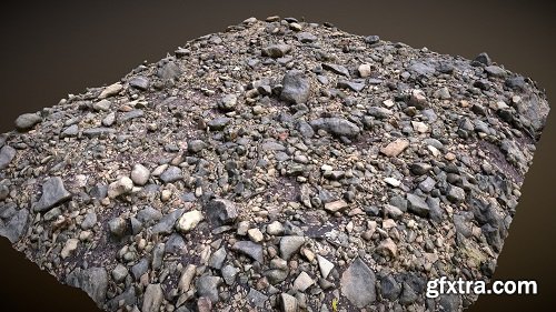 Photoscanned Patch of Ground 3D Model