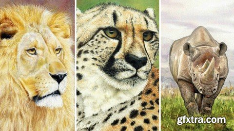 How To Draw Wild Animals Vol 4 - Lion, Rhino And Cheetah