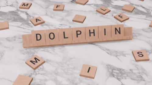 Videohive - DOLPHIN word on scrabble - 41822827