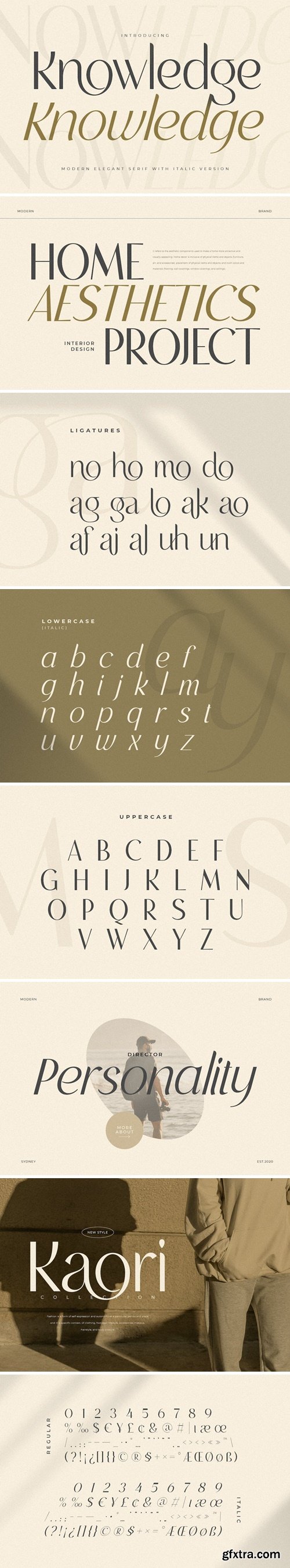 Knowledge - Modern Elegant Serif