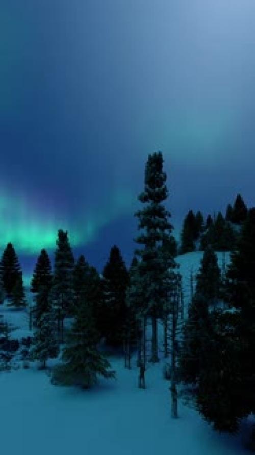 Videohive - Vertical Looped Animation Northern Lights In Snowy Night In Fir Tree Forest - 41897583