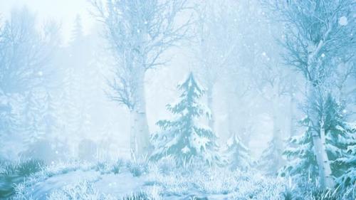 Videohive - Winter Storm in a Forest in Winter - 41965239
