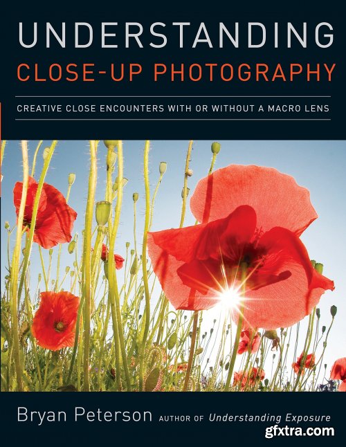 Understanding Close-Up Photography: Creative Close Encounters with Or Without a Macro Lens