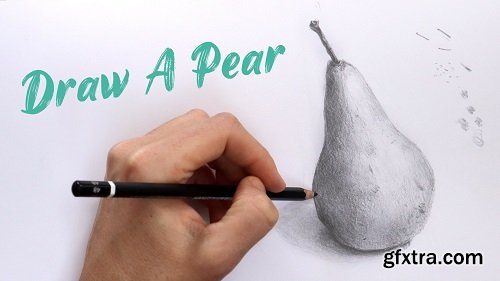 Draw A Pear: Realistic Drawing Tutorial For Beginners