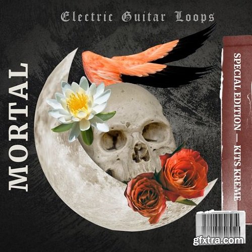 Kits Kreme Mortal Electric Guitar Loops WAV-FANTASTiC