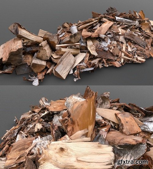 Birch bark heap 3D Model