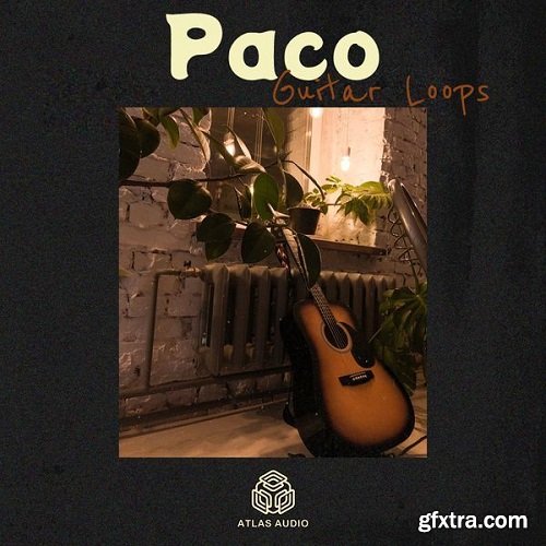 Atlas Audio Paco WAV-DECiBEL