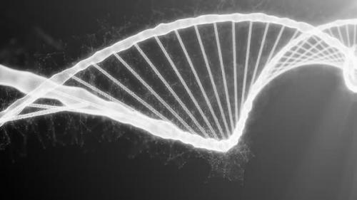 Videohive - Microscope View to Destruction of the Dna Helix Strand for the Molecules Atoms - 42162649