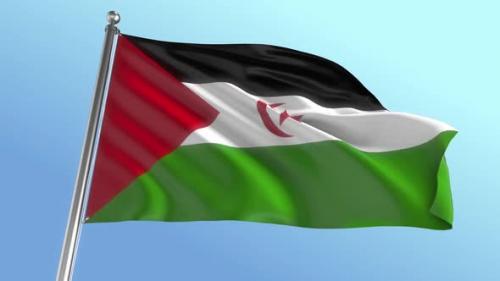 Videohive - Western Sahara Flag - 42180022