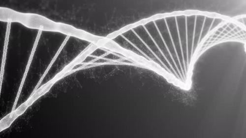 Videohive - Microscope view to destruction of the dna helix strand for the molecules atoms 4k - 42181743