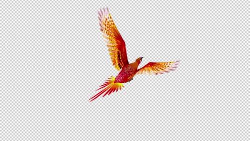 Videohive - Phoenix Bird - Hot Red - Flying Loop - Back Angle View - Alpha Channel - 42182455