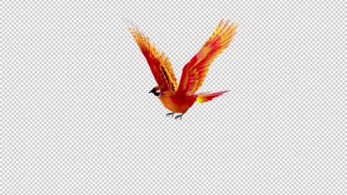 Videohive - Phoenix Bird - Hot Red - Flying Loop - Side Angle View - Alpha Channel - 42182457