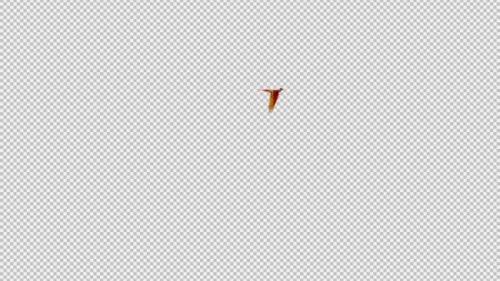 Videohive - Phoenix Bird - Hot Red - Flying Around - Transparent Loop - Alpha Channel - 42182448