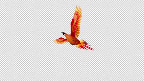 Videohive - Phoenix Bird - Hot Red - Flying Loop - Down Angle View - Alpha Channel - 42182454