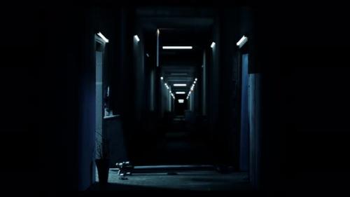 Videohive - The Light Turns On And Off By Itself In The Abandoned Hotel, Horror Scene - 42143147