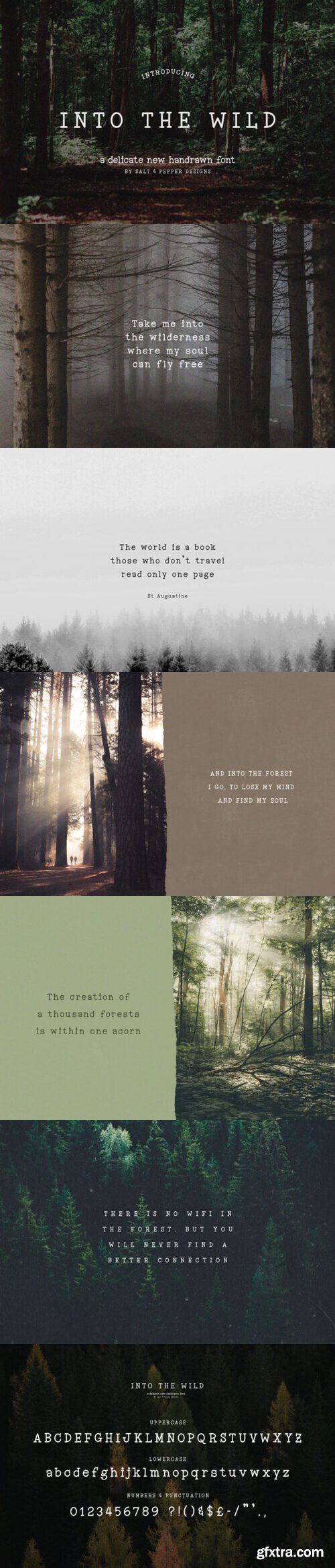 Into the Wild Font