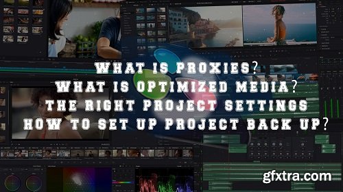 Davinci Resolve video editing: Project backup, Proxies, Project settings Part 2