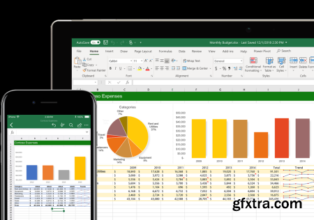 Microsoft Excel for Real World Experience