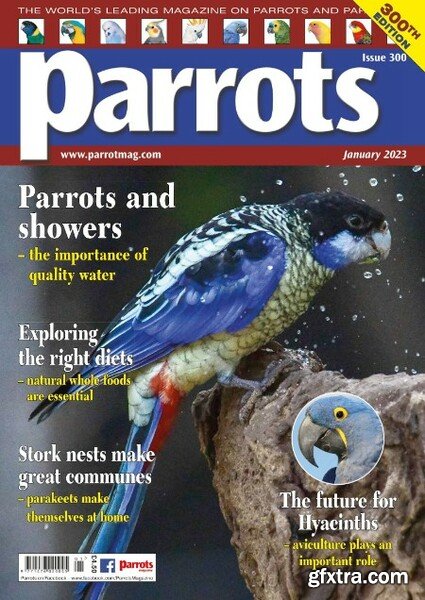 Parrots – January 2023