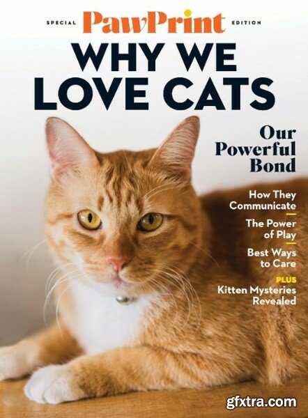 PawPrint Special Edition: Why We Love Cats – November 2022