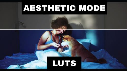 Videohive - LUTs Aesthetic - 42313906