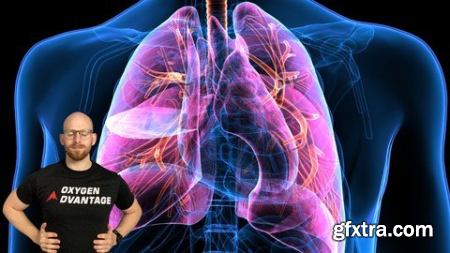 Basics Of Breathing - More Energy And Less Stress