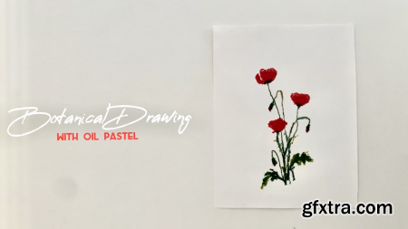Botanical Drawing With Oil Pastels Poppies