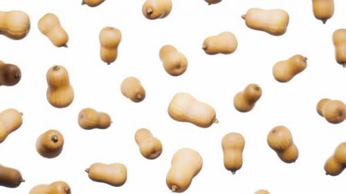 Videohive - Seamless Floating Butternut Squashs on White - 42509242