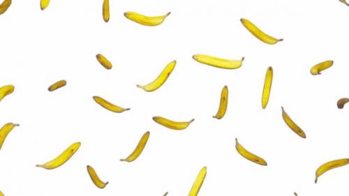 Videohive - Endlessly Falling Bananas on White - 42509262