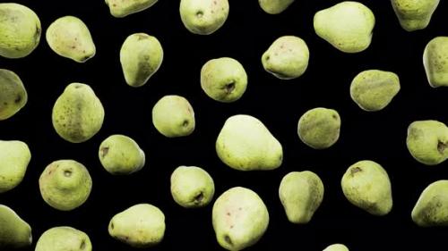 Videohive - Seamless Floating Guavas on Alpha - 42509313
